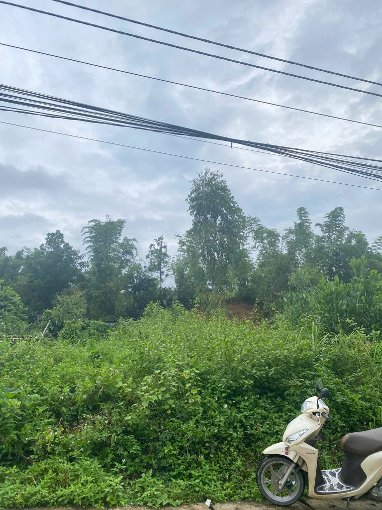 Bán đất tổ 1 Him Lam