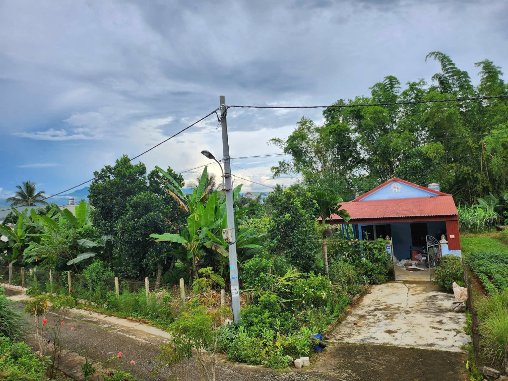 Đất tổ 2 Thanh Trường