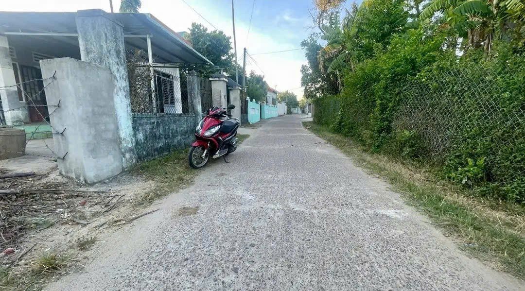 Bán đất Đông Hồ 📌📌📌LÀM VIỆC TRỰC TIẾP GIÁ TỐT !!!