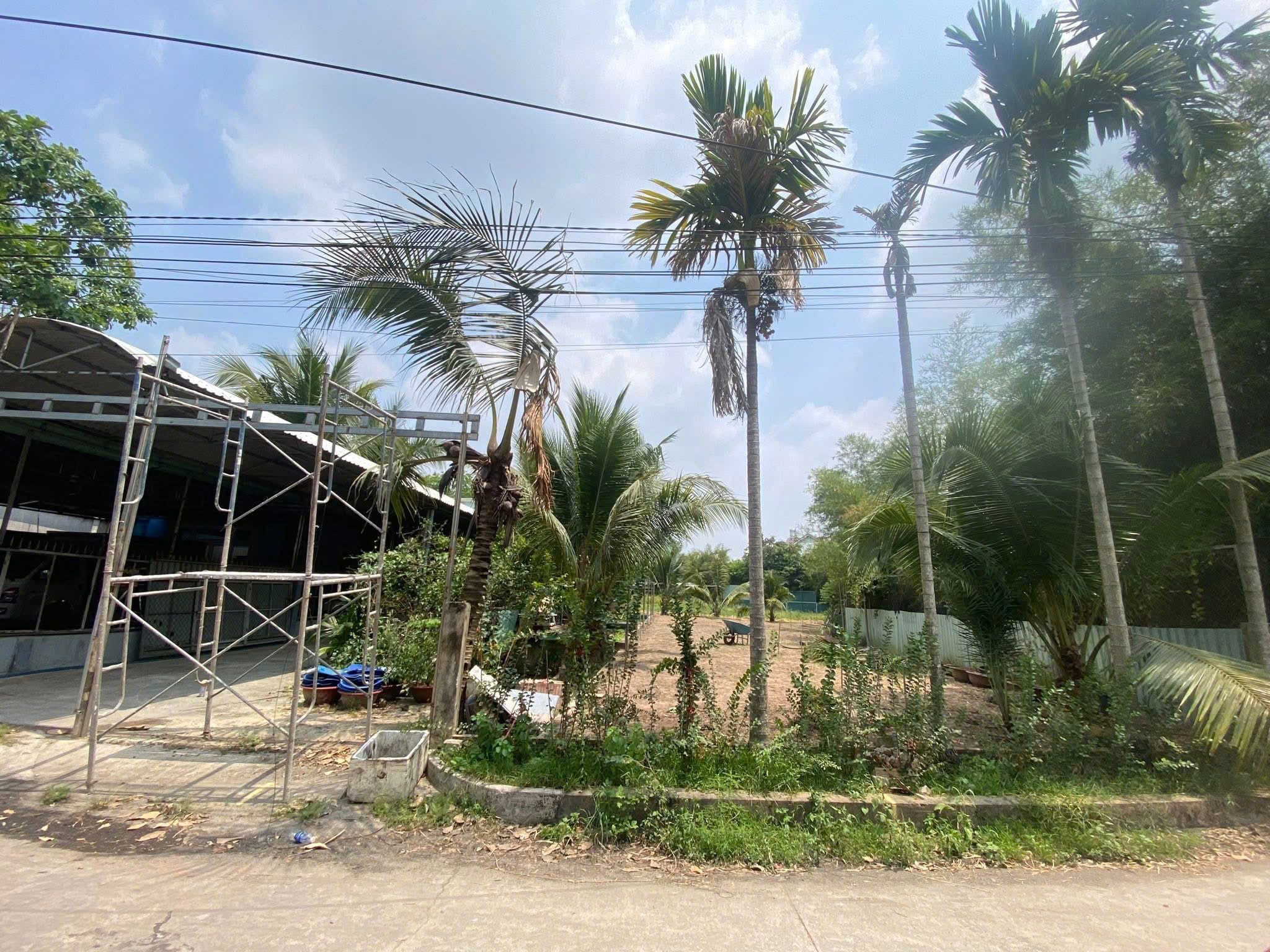 Đất định hoà
Diện tích 5 x 22 Thổ cư 60m (02 lô liền kề) 
Vị trí nhánh Nguyễn Văn Thành thông DX 068