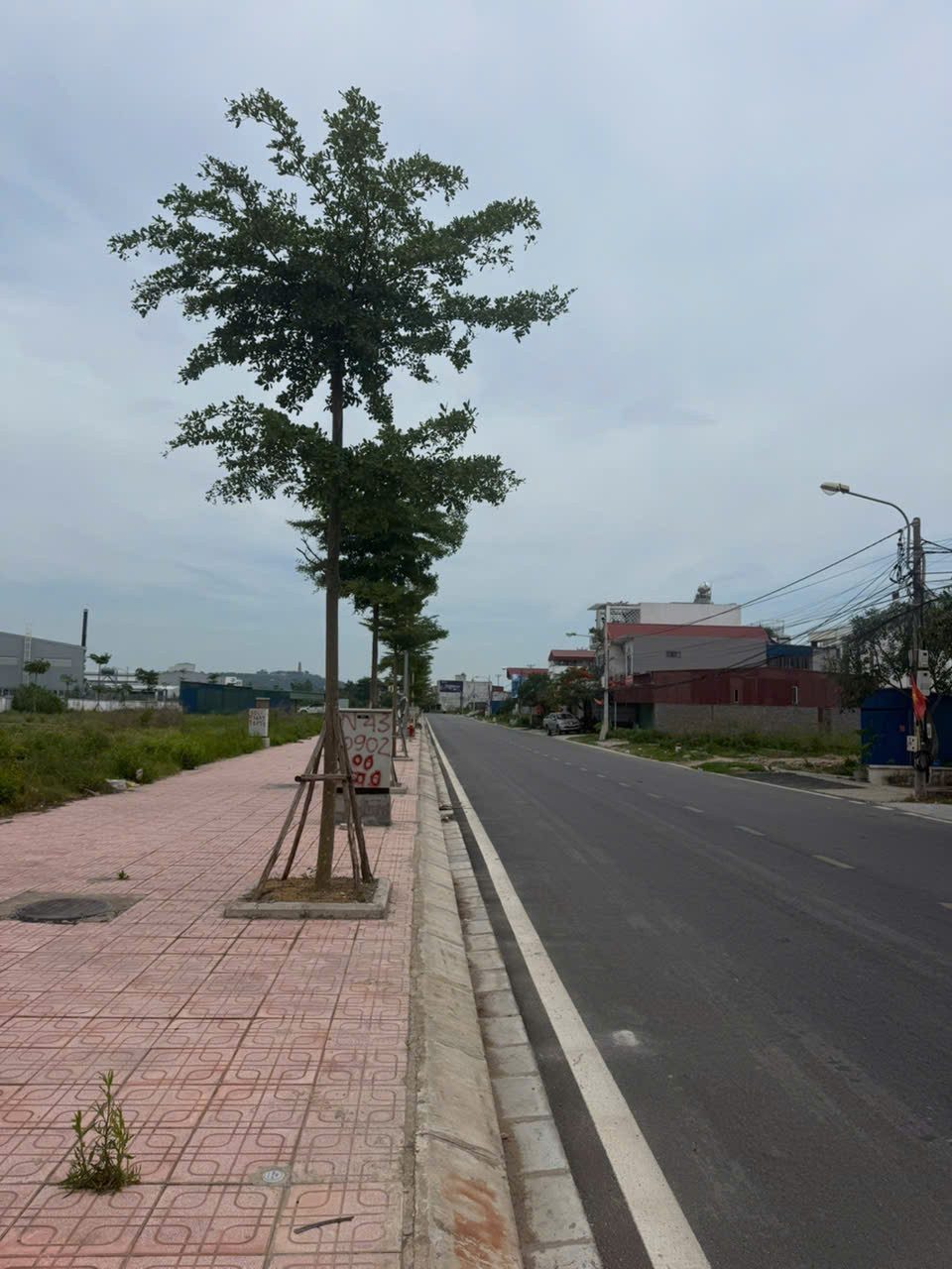 🔥 Bán đất N46 117,5m² full thổ cư ngang 5m giá 4.78 tỷ tại Phường Đồ Sơn (đấu giá Đồng Nẻo)