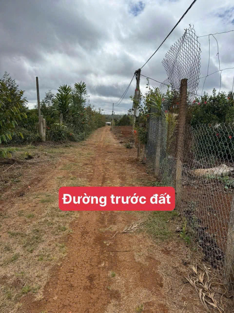 Đất mặt tiền Trịnh Văn Cẩn 138m² ngang 5m giá 399 triệu tại Phường Đoàn Kết Thị xã Thị Xã Buôn Hồ