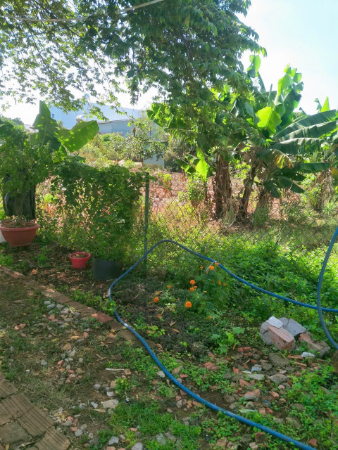 Đất hẻm Trần Nguyên Hãn cách UB Đống Đa chỉ 300m