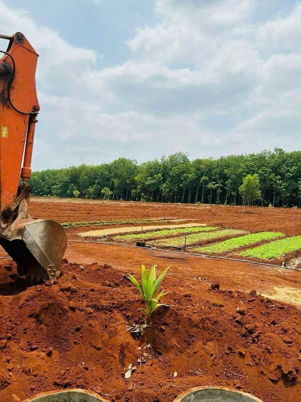 Bán đất 1118.9m² ngang 11m giá 275 triệu tại Phường Đồng Xoài