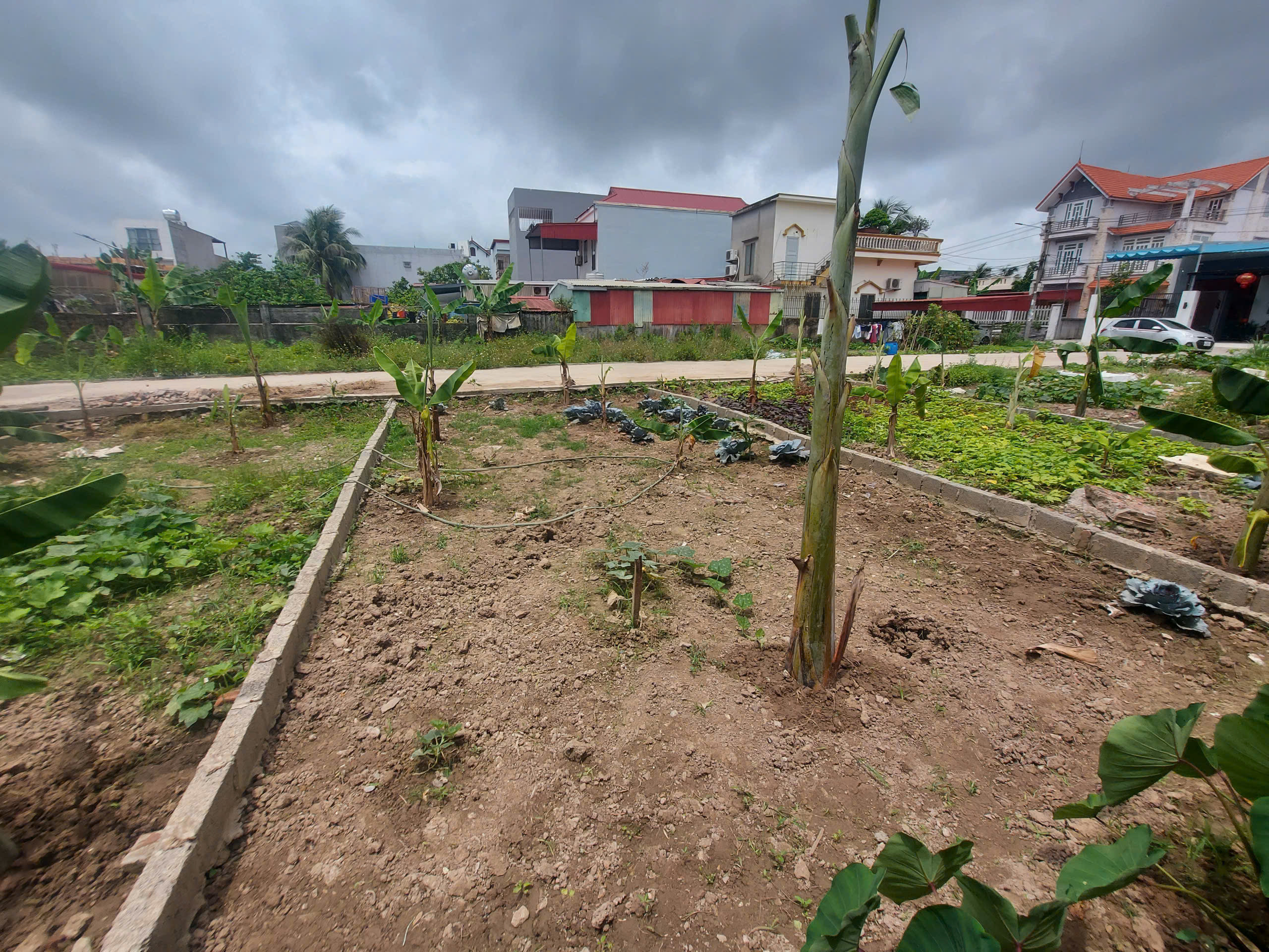 Bán đất 41,8m² full thổ cư ngang 4,4m giá 1.38 tỷ tại Phường Dương Kinh (ngõ thực tế ô tô 5m) Hải Thành 3