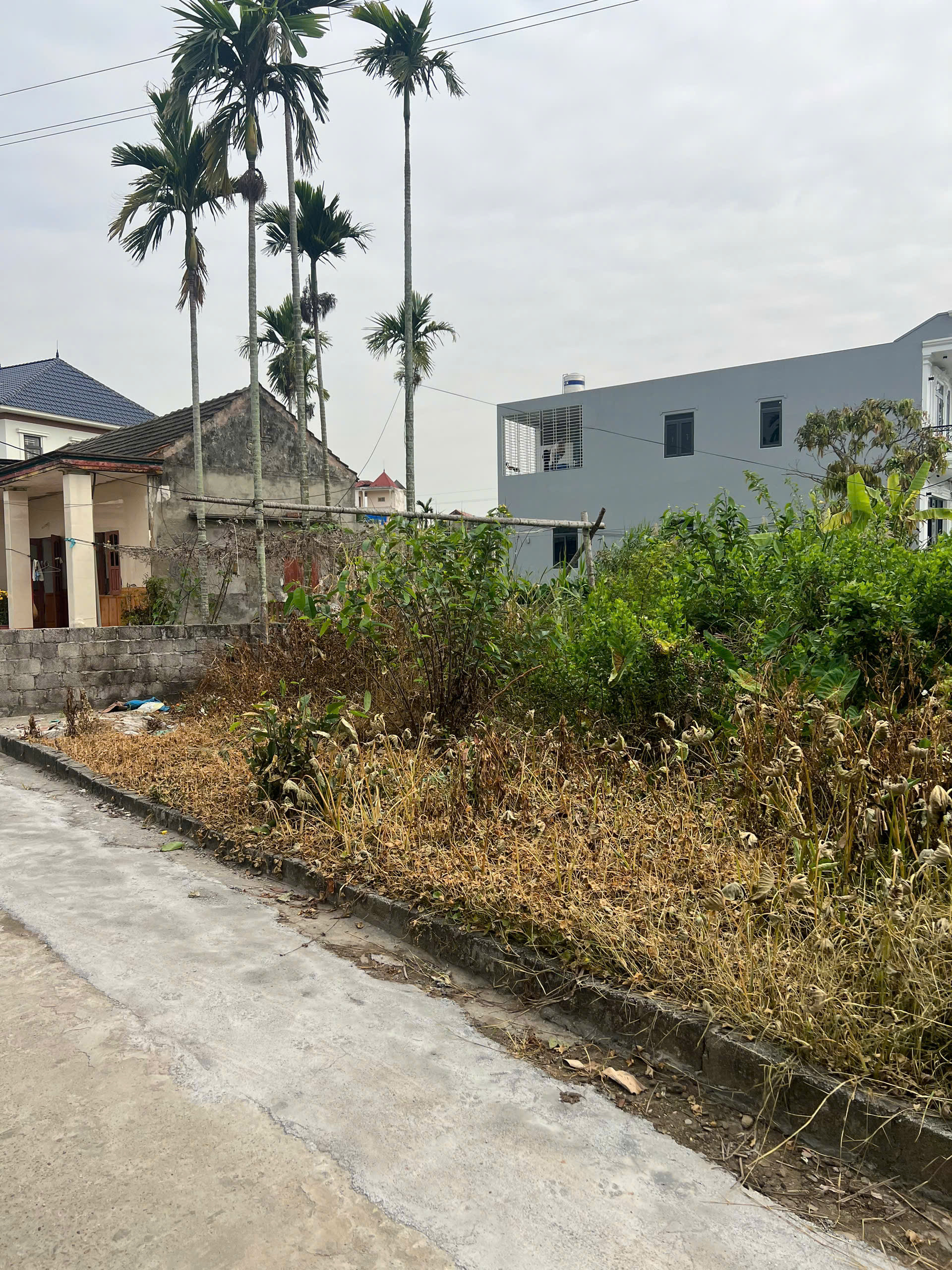 Bán đất 65m² full thổ cư ngang 4,5m giá 780 triệu tại Phường Dương Kinh (ngõ gần 3m An Toàn, Hòa Nghĩa)