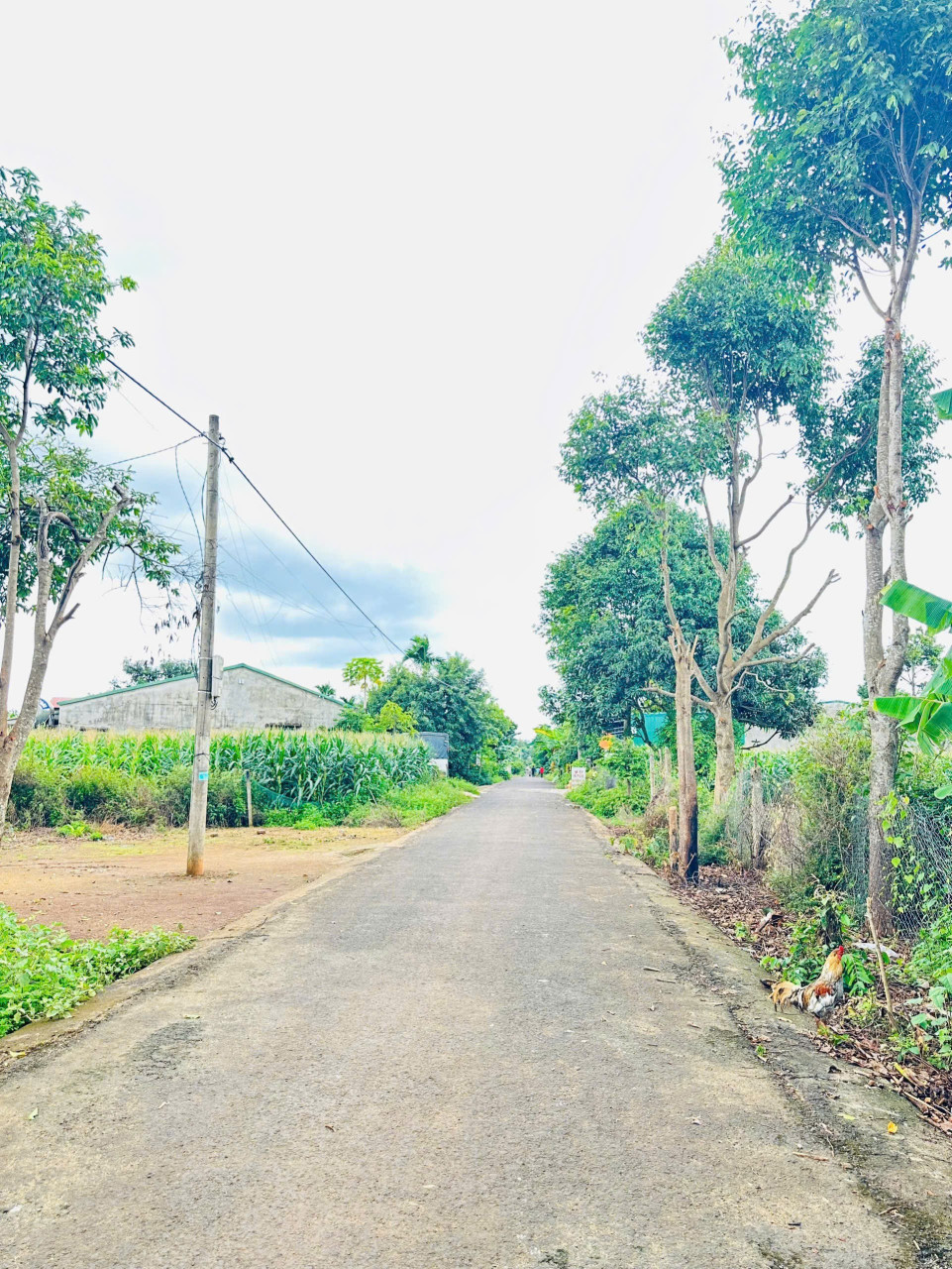 Bán đất 396m² ngang 6m giá 799 triệu Phường Ea Kao