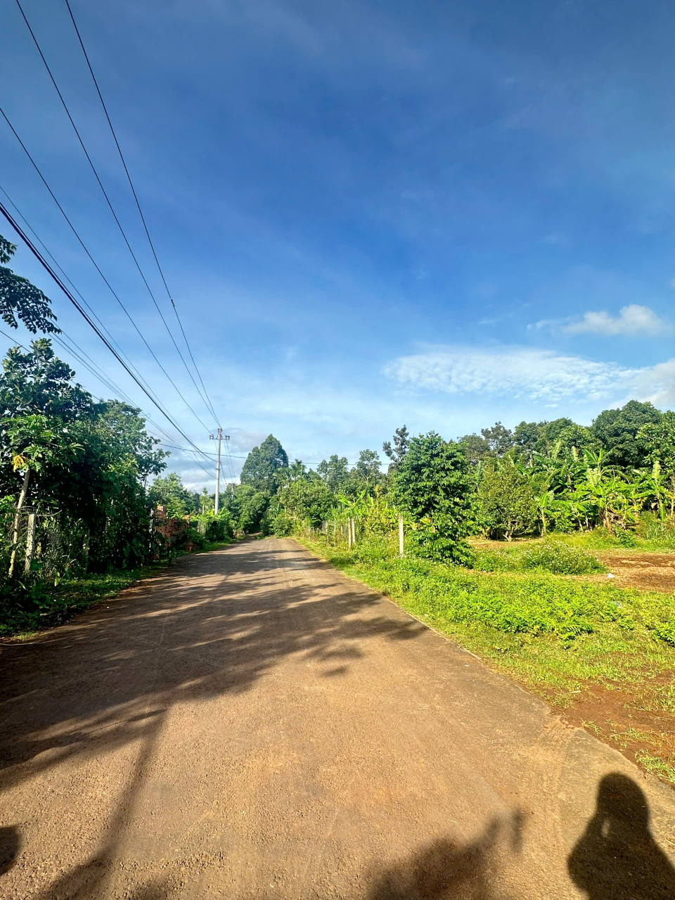 Bán đất đường Nhựa 743m² ngang 9,72m giá 1.19 tỷ Phường Ea Kao