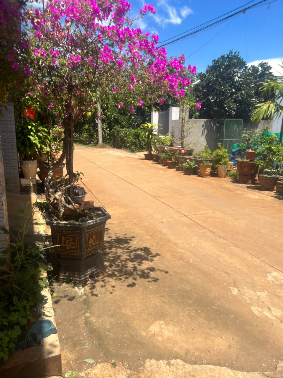Bán nhà 03 võ văn kiệ213m² 1.85 tỷ tại Phường Ea Tam Thành phố Buôn Ma Thuột