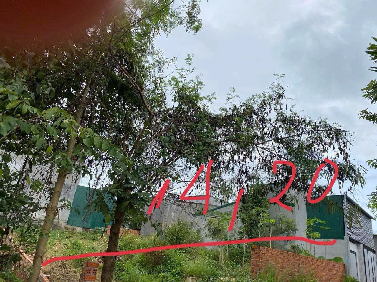Bán đất 451.2m² 3.2 tỷ tại Phường Ea Tam Thành phố Buôn Ma Thuột