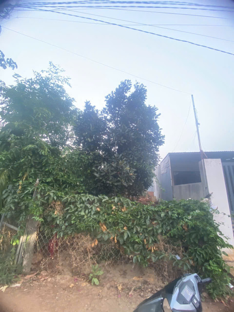 Bán đất 118m² giá 945 triệu tại Phường Ea Tam Thành phố Buôn Ma Thuột