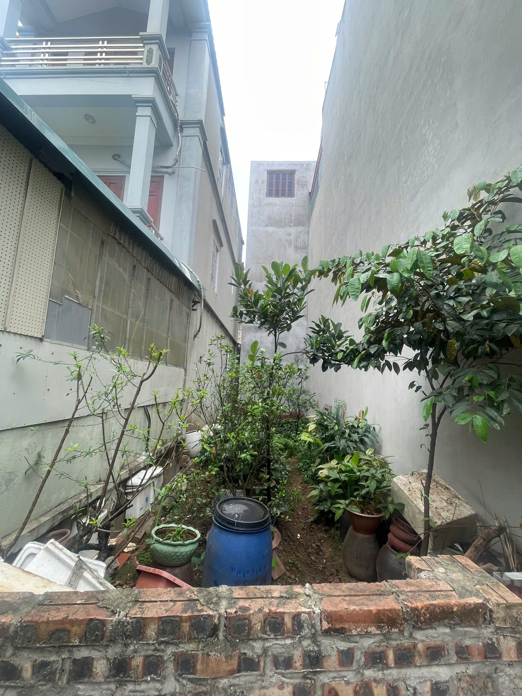BÁN ĐẤT GIANG BIÊN - LONG BIÊN - Ô TÔ VF3 VÀO ĐẤT - PHÙ HỢP AN CƯ VÀ ĐẦU TƯ