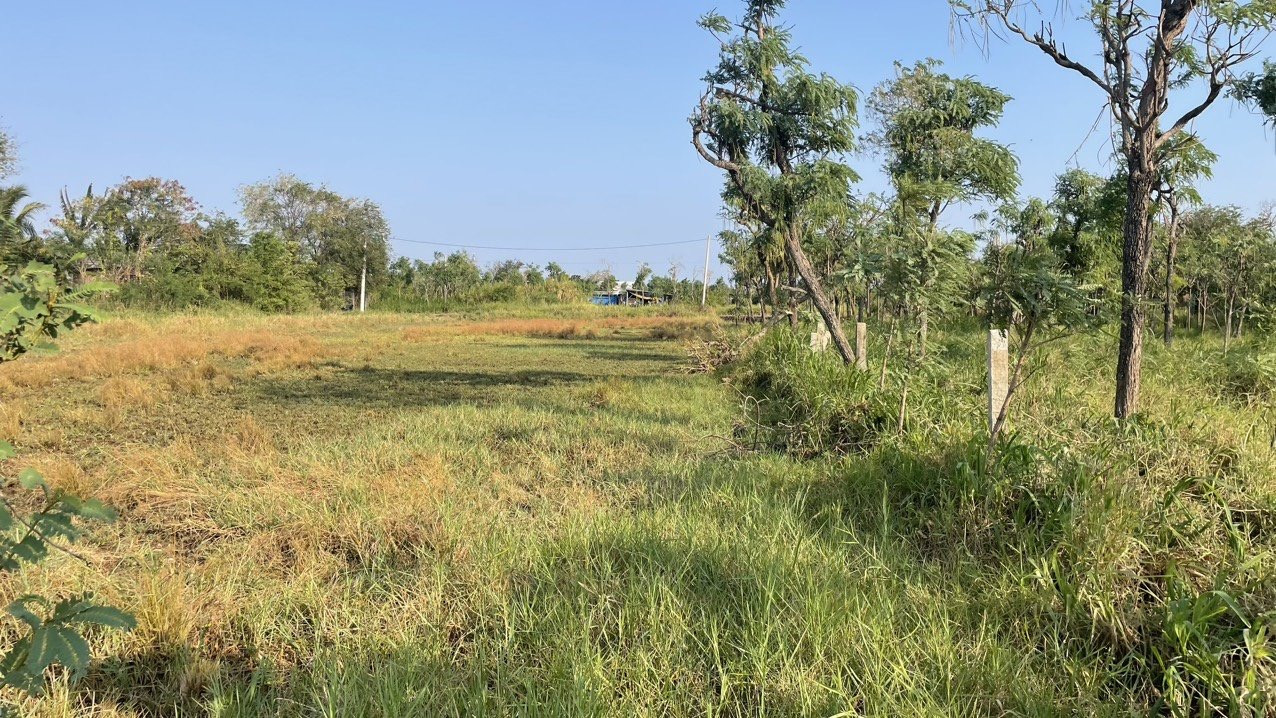 Bán đất 2000m² - 500 thổ cư -  giá 1.2 tỷ Phường Gò Công