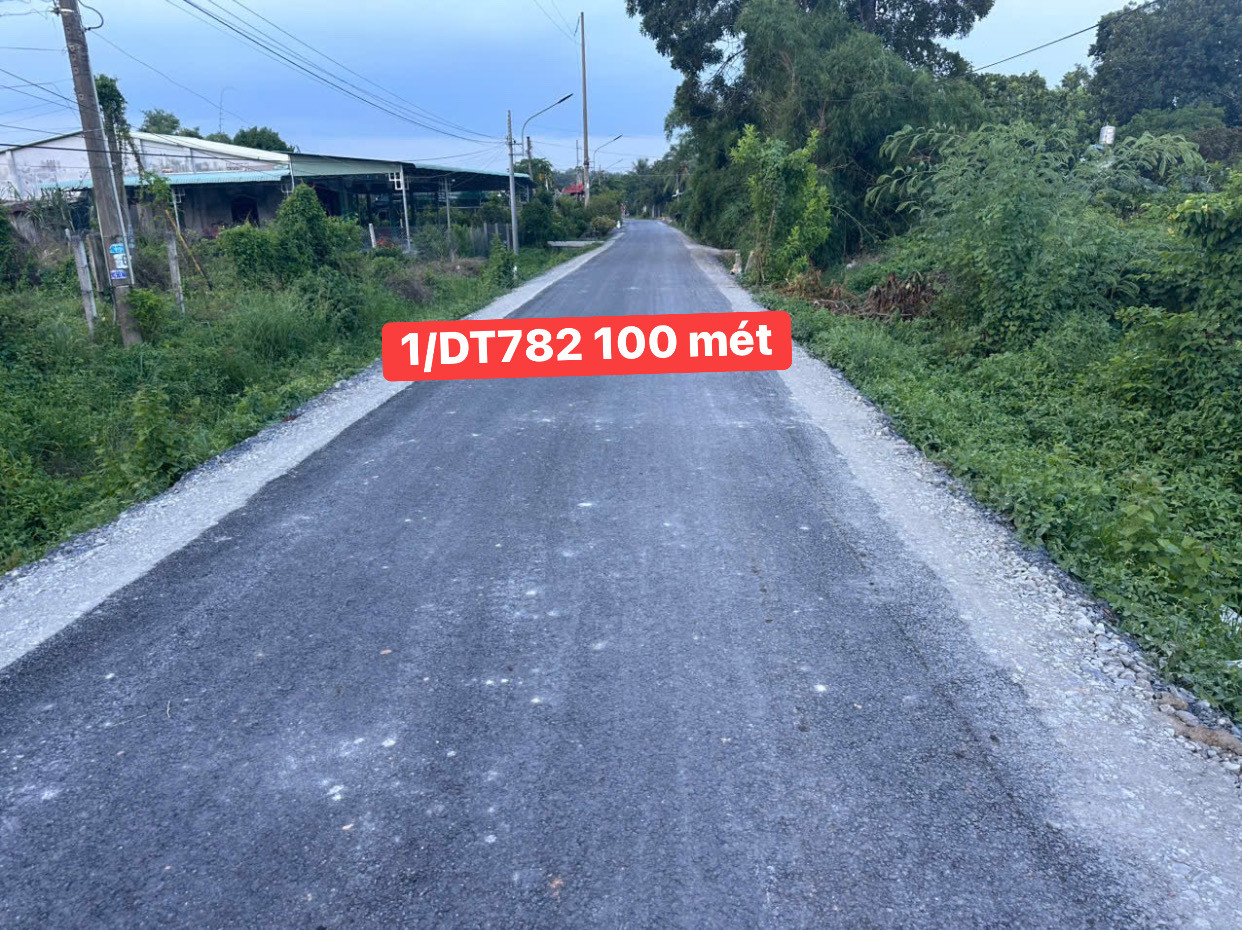 Up sỉ 4 lô đường nhựa 1/782 Full thổ cư