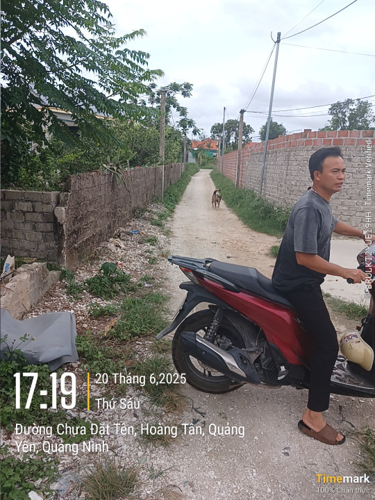 Bán đất full thổ cư 115m2 giá 1.2 tỷ đồng tại thôn 3 Hoàng Tân