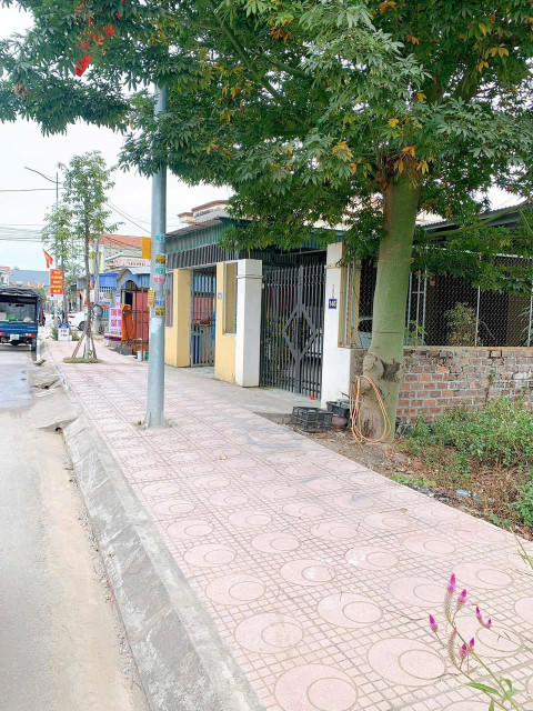 Trục chính Bùi Xá, Tân An vũ đất ven Hạ Long Xanh vuông vắn
