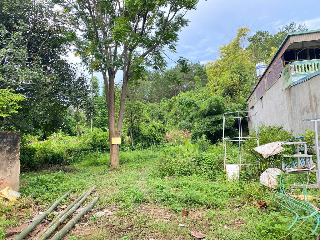Bán đất tổ 19 him lam
