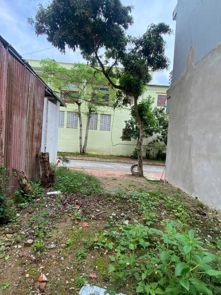 Bán đất tại tổ 9