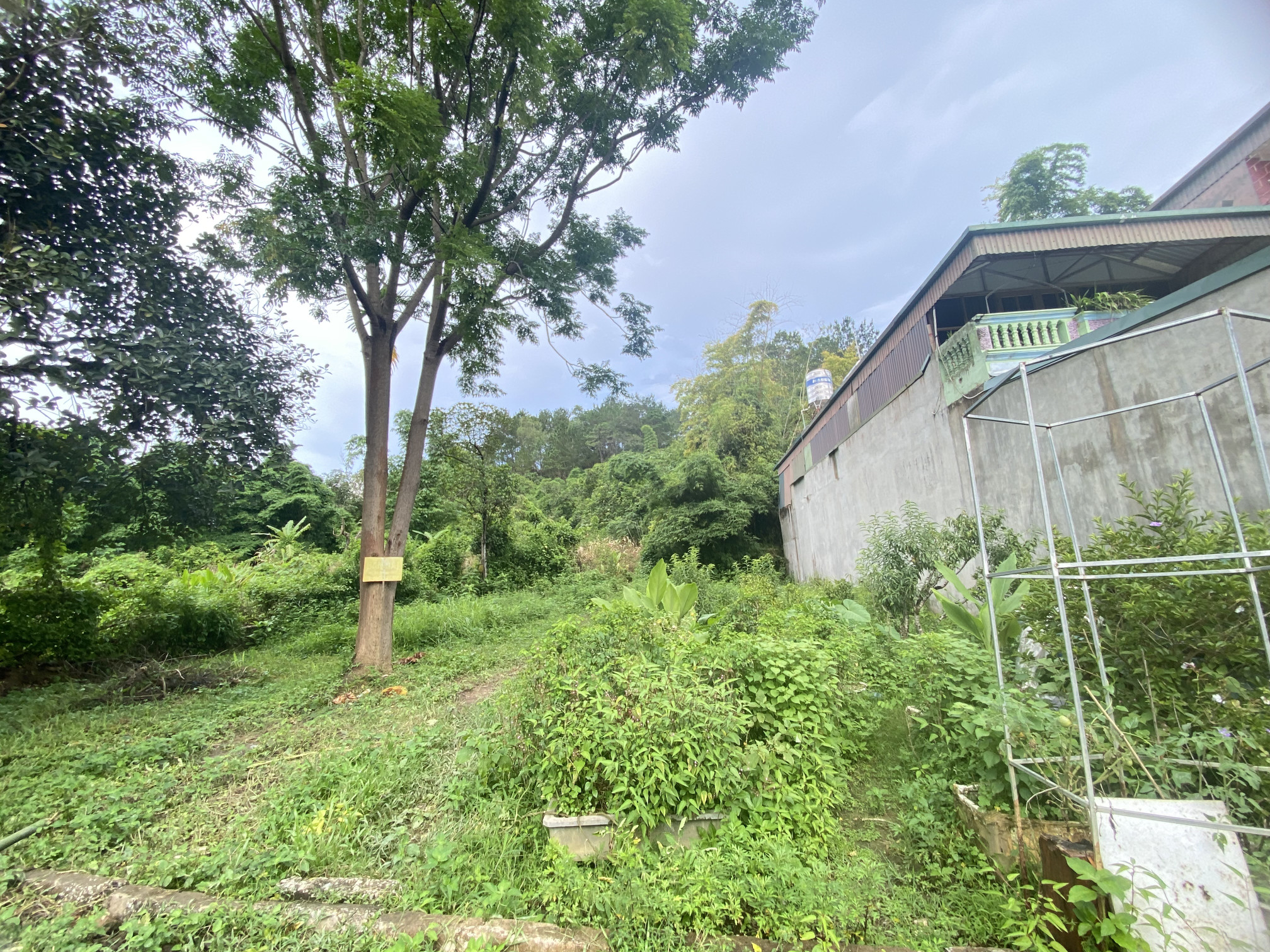 Đất tổ 19 Him Lam