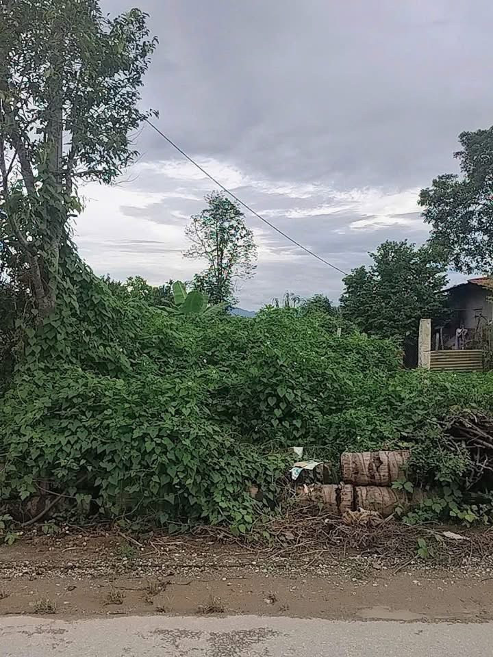 Bán đất đội 5A thanh luông