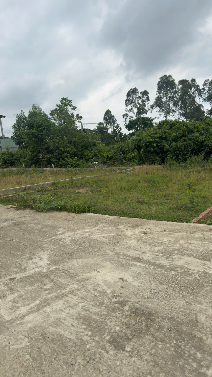 Cần bán
