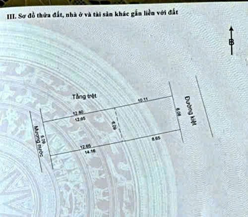 Mua ngay lô đất tặng kèm nhà cấp 4, Q.Liên Chiểu, TP. Đà Nẵng