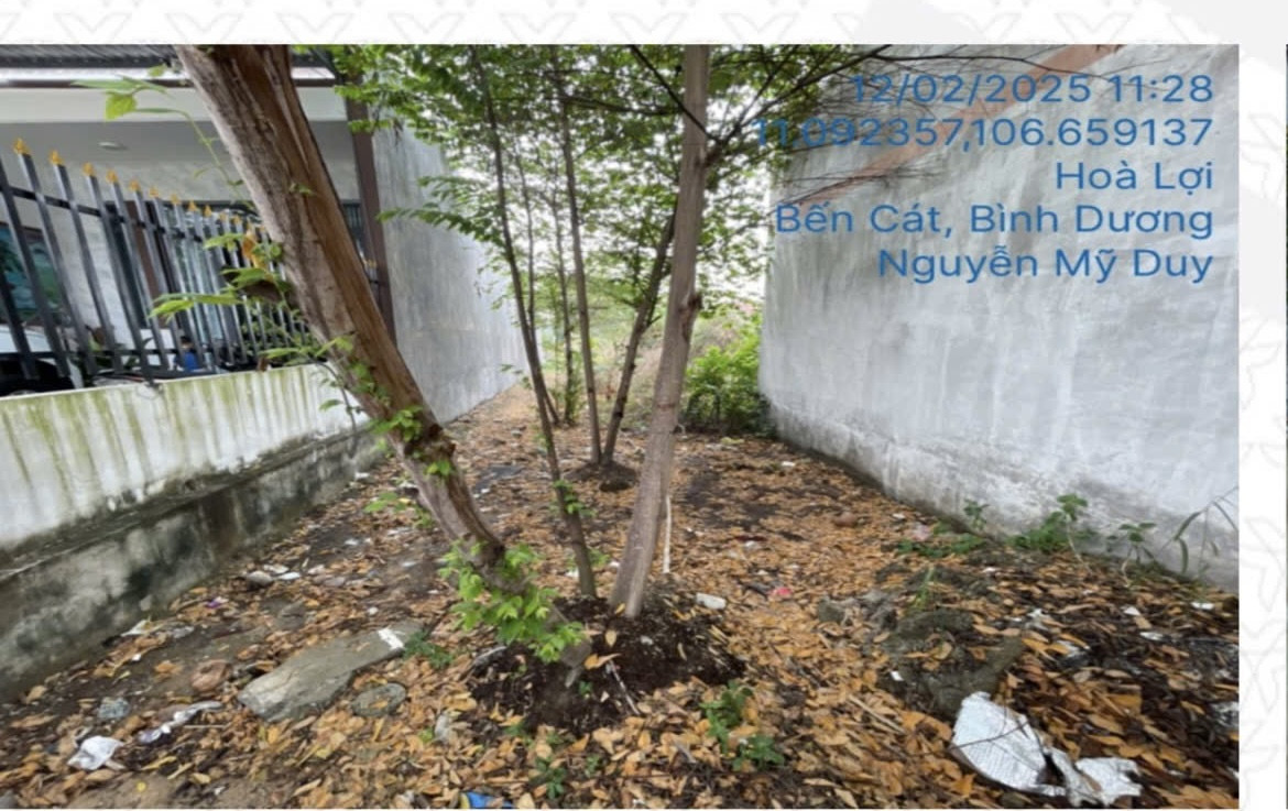 Bán đất 240m2 chính chủ tại Hoà Lợi cách Mỹ Phước Tân Vạn 1km