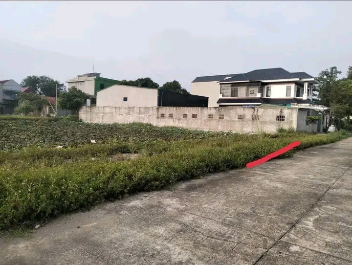 Bán đất 300m² giá 16.5 tỷ Phường Hoa Lư