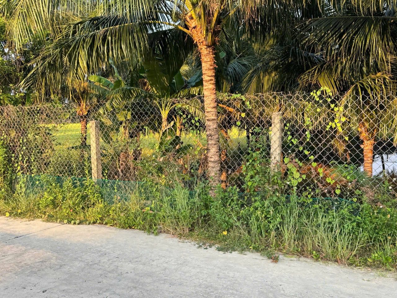 Bán nhà vườn view sông Dinh gần cửa biển Hà Liên.