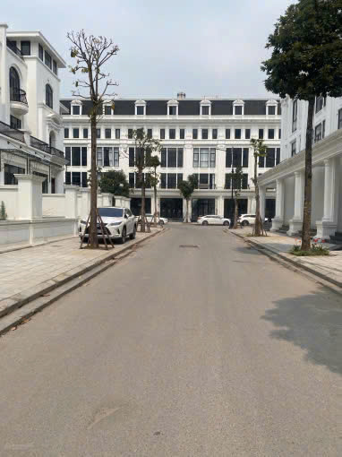 MÌNH CHÍNH CHỦ CHO THUÊ PHÒNG TRỌ , CHUNG CƯ MINI GIÁ TỐT - KHU ĐÔ THỊ LOUIS CITY HOÀNG MAI