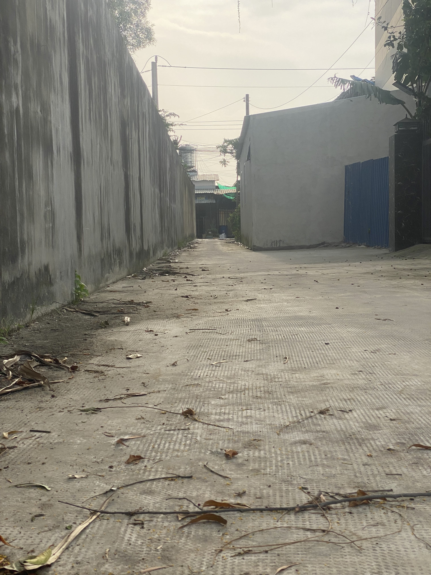 Chính chủ cần bán đất , gần chợ búng , thổ cư shr
