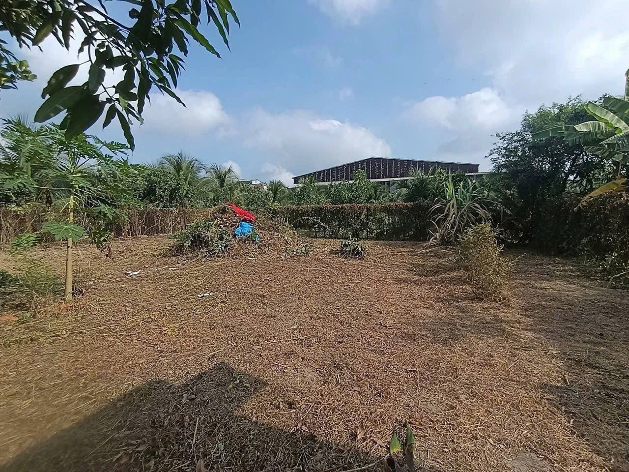 BÁN LÔ ĐẤT KHỦNG 845.2M² – FULL THỔ CƯ – ĐƯỜNG BÊ TÔNG 6M – GẦN QL1A & VÀNH ĐAI TP TÂN AN