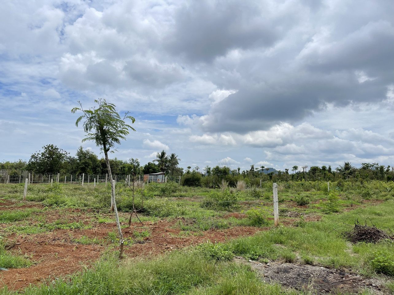 Bán  đất nông nghiệp 1240m² , giá 760 triệu tại, Phường Khánh Xuân, Thành phố Buôn Ma Thuột, Đắk Lắk
