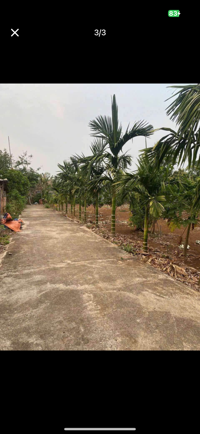 Bán đất 201.7m² 820 triệu tại Phường Khánh Xuân Thành phố Buôn Ma Thuột
