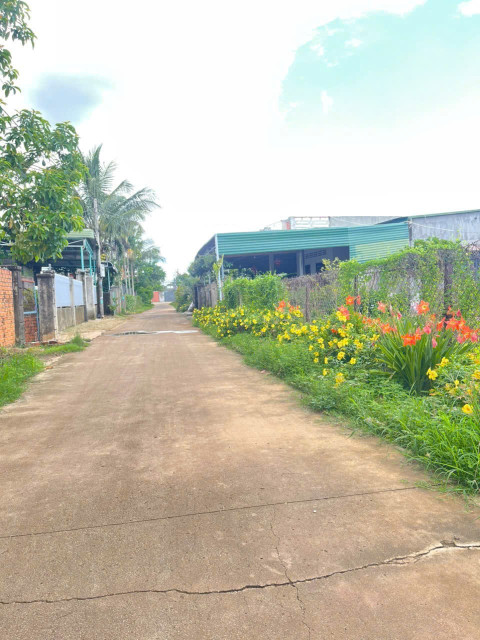 Bán đất 350m² ngang 10m giá 1.28 tỷ tại Phường Khánh Xuân Thành phố Buôn Ma Thuột