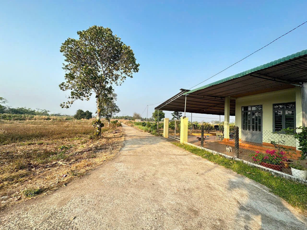 Bán đất 120m² ngang 6m giá 590 triệu tại Phường Khánh Xuân Thành phố Buôn Ma Thuột