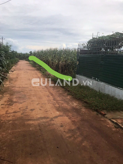 🟢 Bán đất thổ cư 136m², dt 5*27 tc 40 tại phường Khánh Xuân