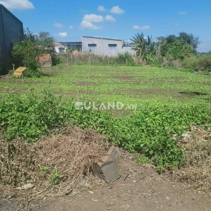 GIẢM GIÁ TỪ 1.8 TỶ CÒN 1.2 T NAY CẦN VIỆC EM BÁN LẠI GIÁ TỐT ĐẦU TƯ