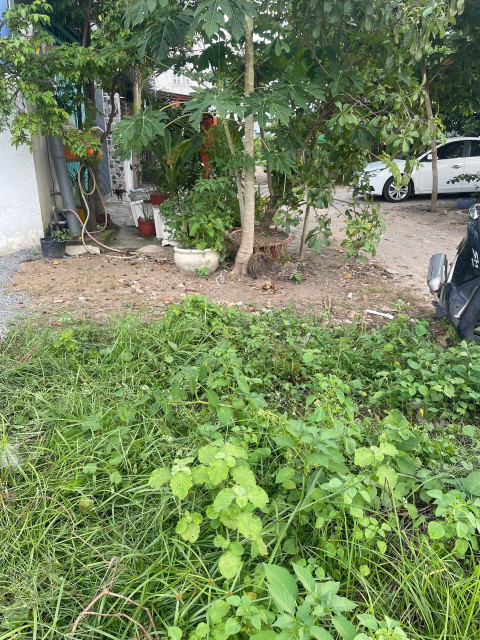 Bán nhanh đất nền giá rẻ 1.8Tỷ toạ lạc tại Linh Tây Thủ Đức
