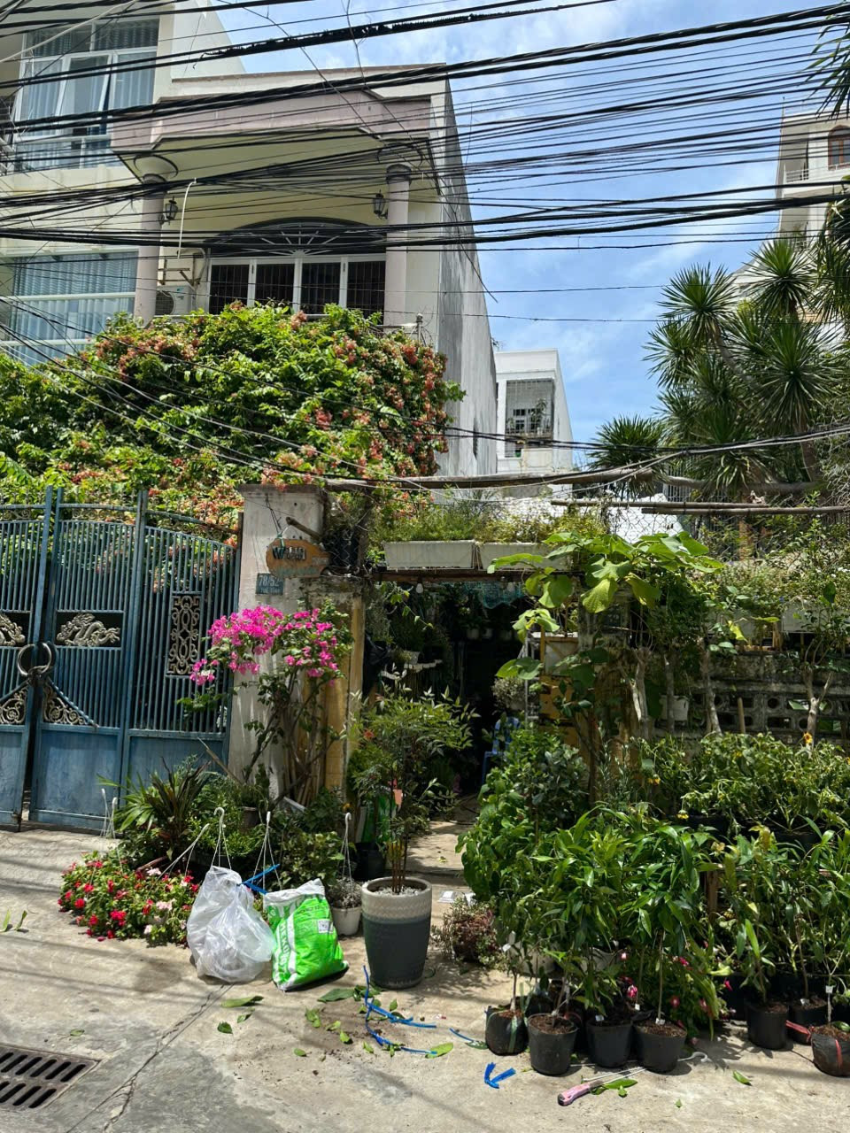 Bán đất 193.2m² ngang 7.9m giá 24.88 tỷ tại Phường Lộc Thọ Thành phố Nha Trang
