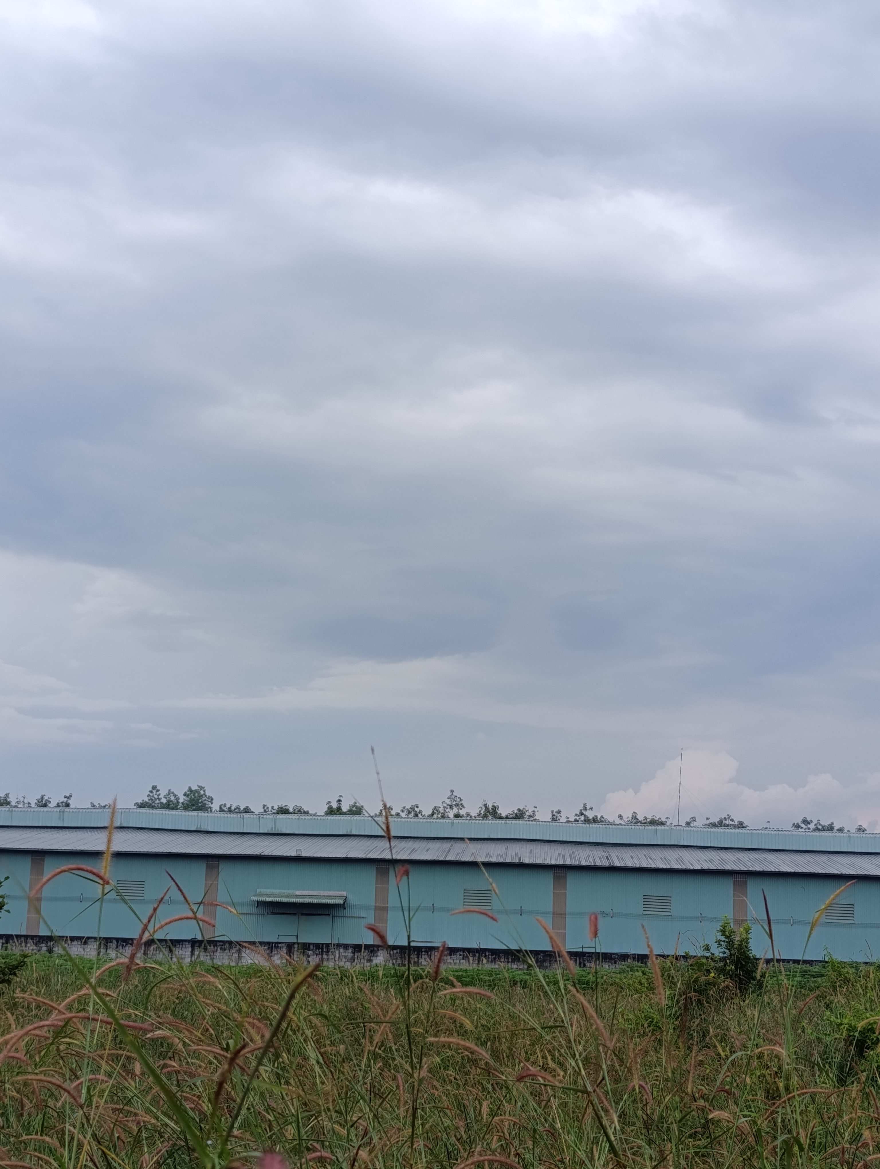 Bán đất 1175.9m² ngang 20m giá 3.3 tỷ Phường Long Nguyên đã có quy hoạch skc