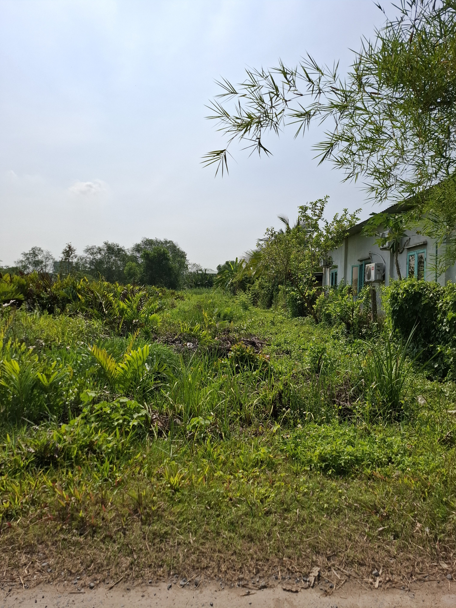 Đất vườn Long Phước Q.9 giá rẻ