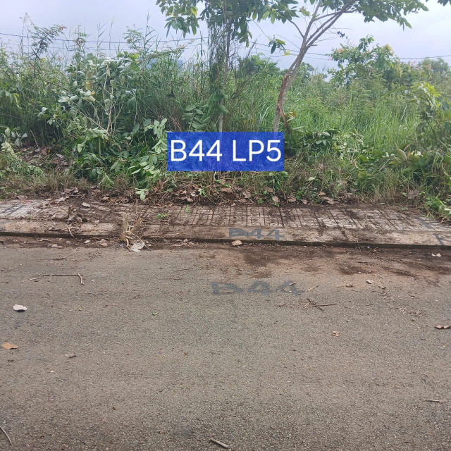 Bán đất Long Phước  quận 9 giá rẻ
