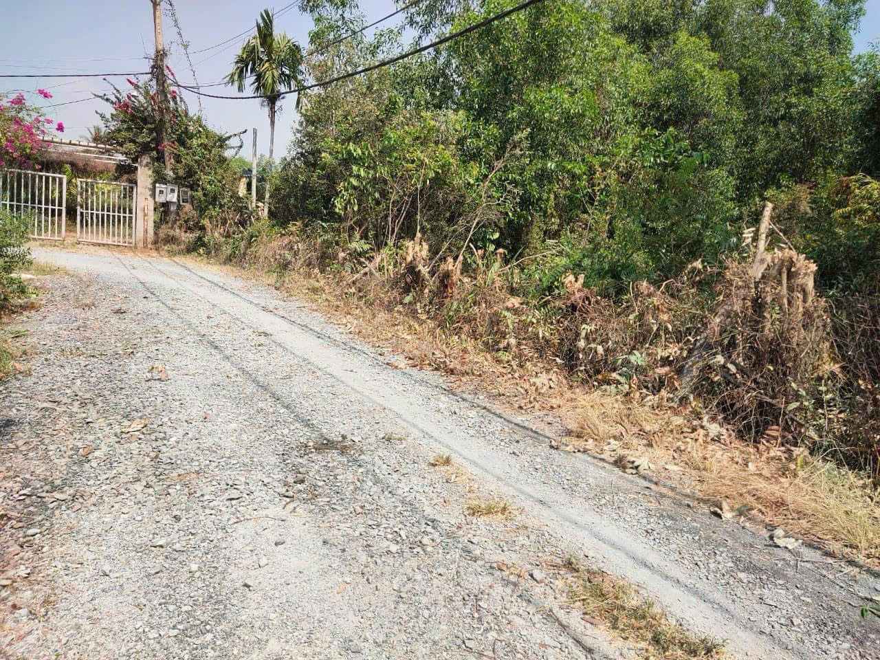 Bán lô đất vườn quy hoạch đất ở giá tốt. Long Phước
