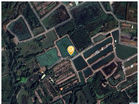 Bán đất 2148.5m² 12 tỷ tại Phường Long Trường Quận 9