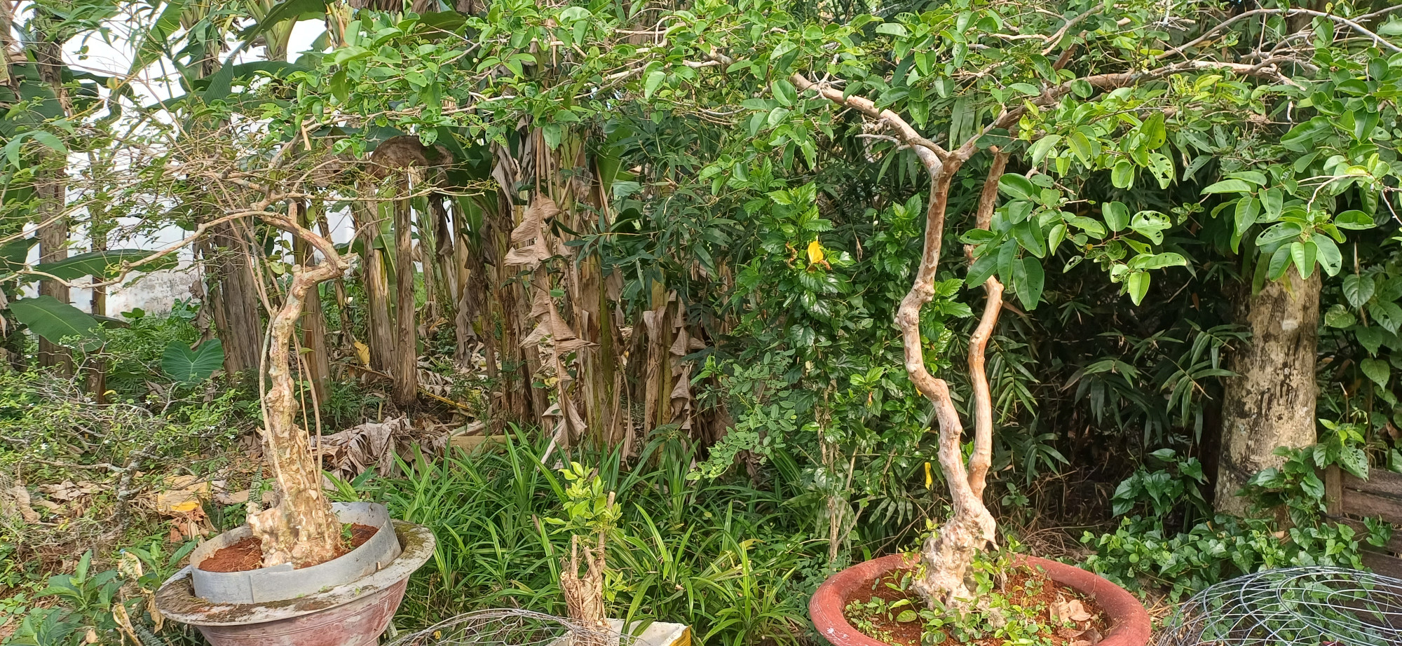 Bán đất 200m² ngang 10,11m giá 2 tỷ Phường Long Tuyền