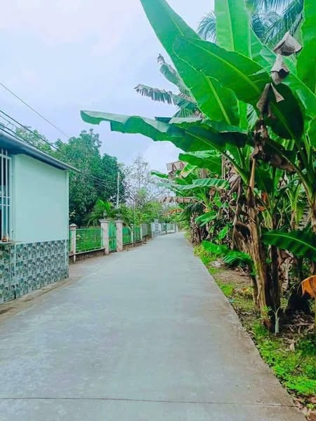 73.🚨 CẦN BÁN GẤP Đường Tô Vĩnh Điện nối dài