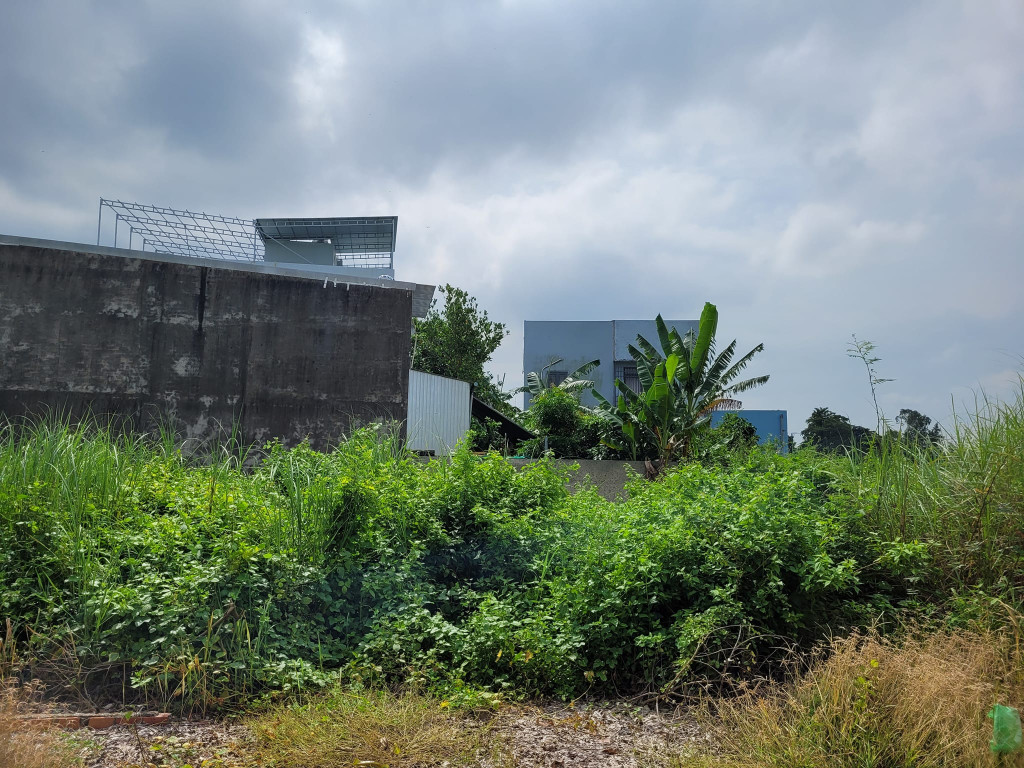 Bán nền Đường số 1 Tây Đại Học, Mỹ Phước, Long Xuyên, An Giang