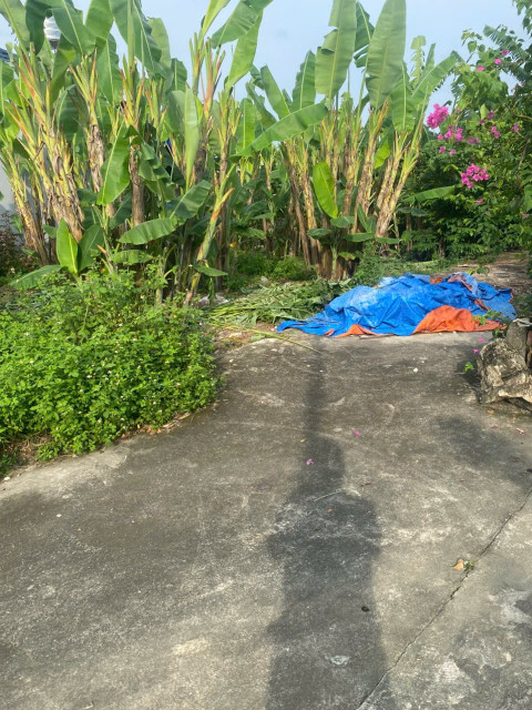 Bán đất 61m² ngang 5,9m giá 630 triệu Phường Lưu Kiếm( kênh giang). liên hệ 0362558882