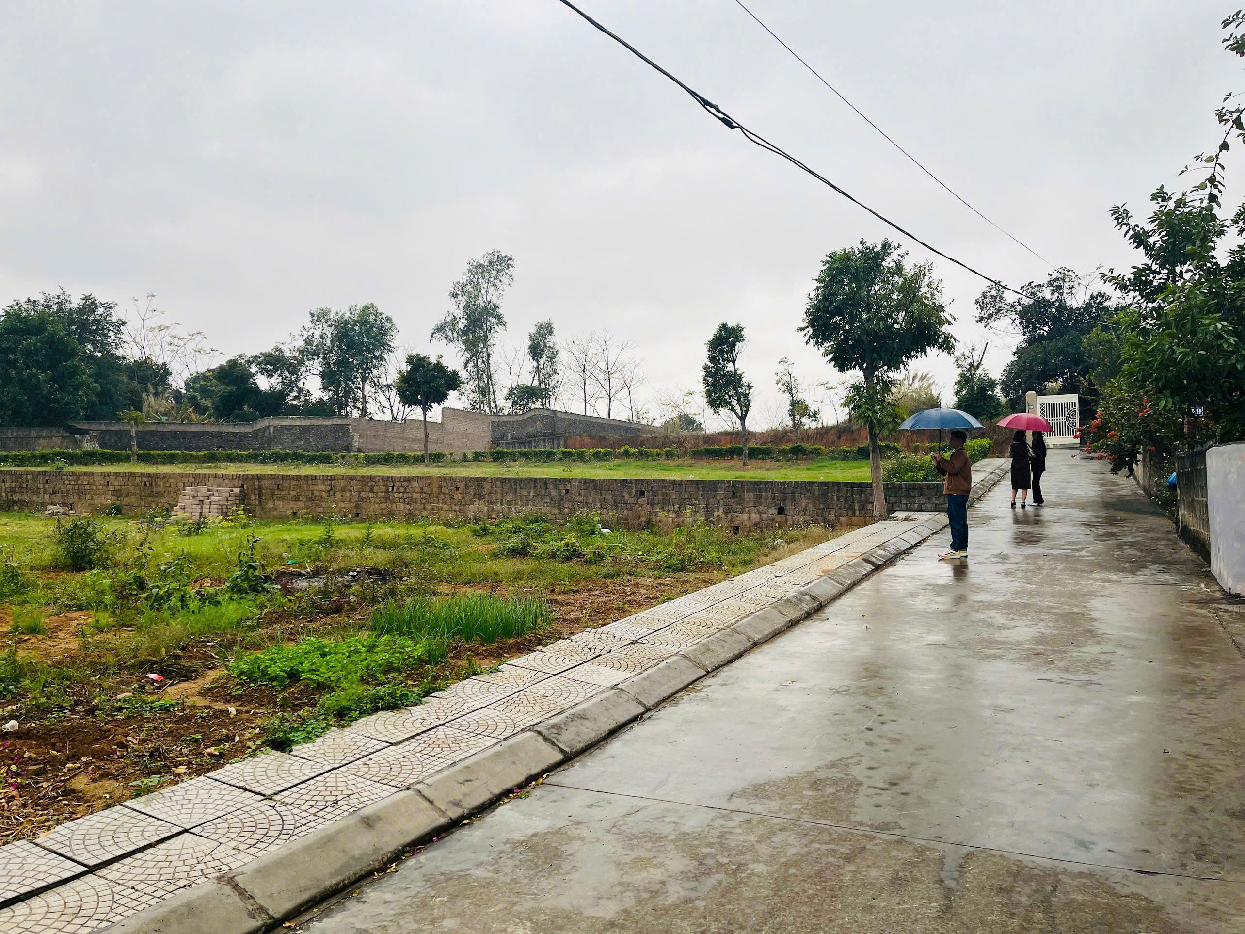 🔥 CƠ HỘI HIẾM! ĐẤT NỀN ĐÔNG TRIỀU – QUẢNG NINH, VỊ TRÍ ĐẸP, TIỀM NĂNG SINH LỜI CAO
💰 Giá chỉ từ 550 triệu/lô